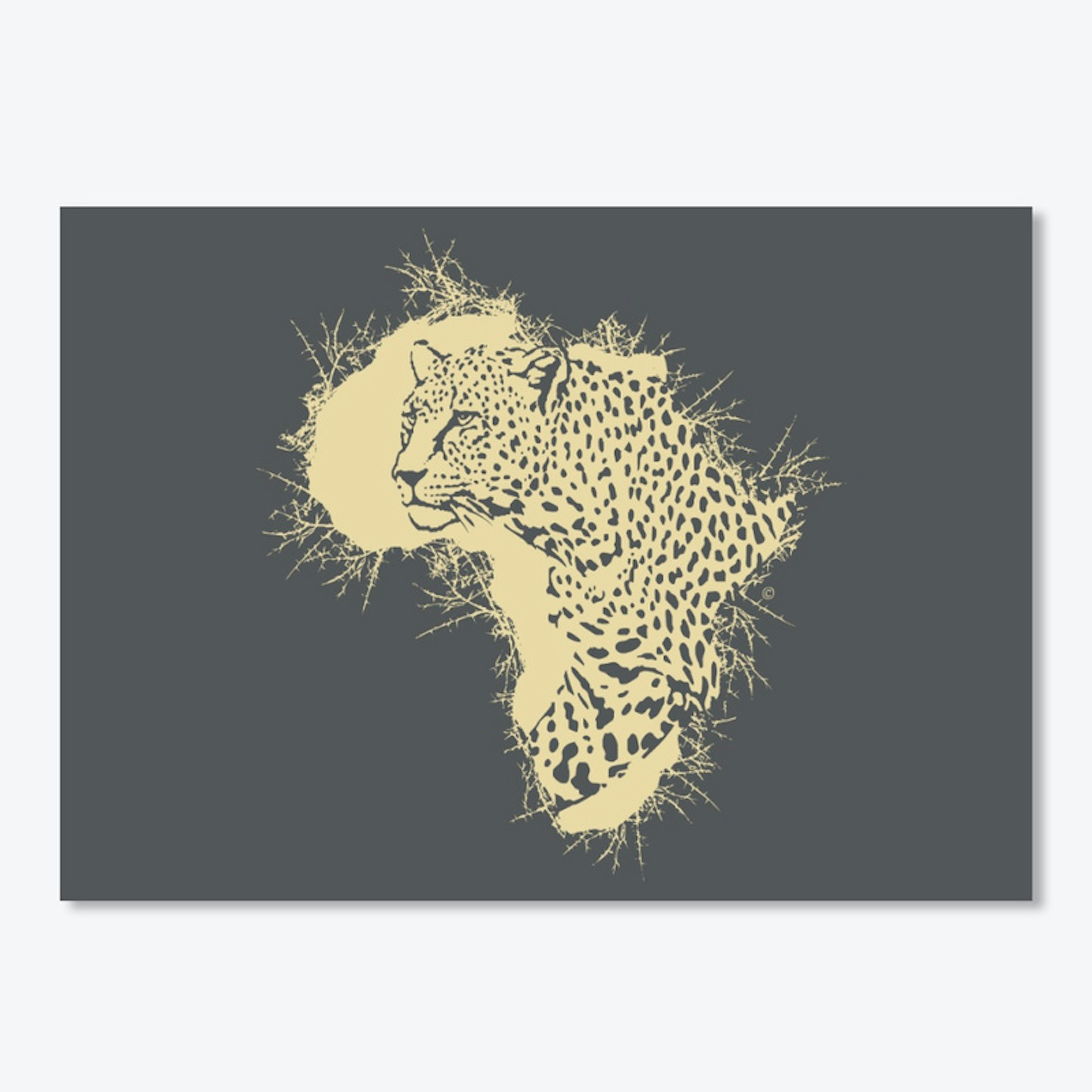 Tenikwa Leopard in Thorny Africa